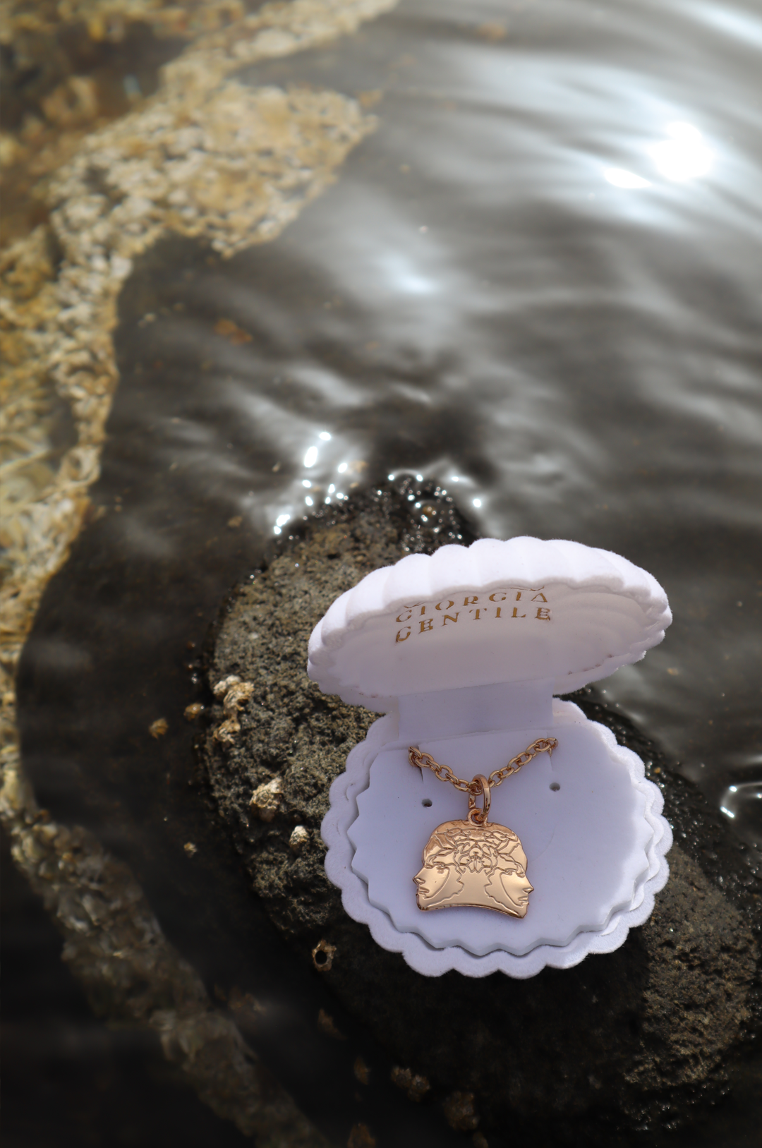 white shell of venus and a gold light necklace with mythology references